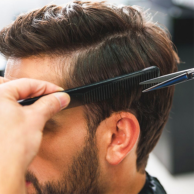 Corte de Caballero